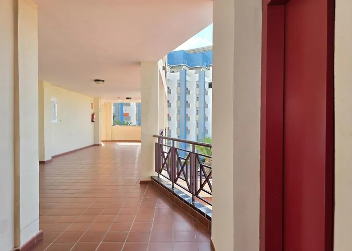 Apartment Obsidian Dinastia